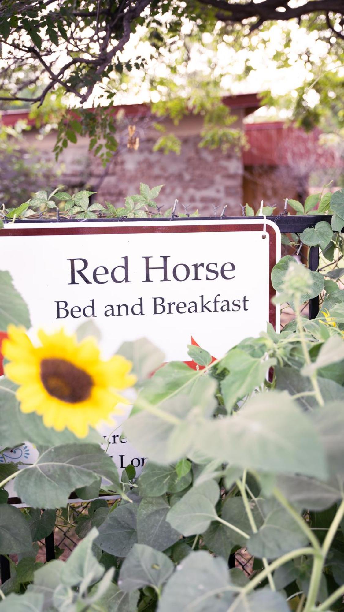 ألباكركي Red Horse Bed And Breakfast المظهر الخارجي الصورة